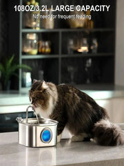 Fontanella per gatti con filtro e sensore