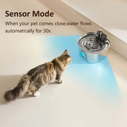 Fontanella per gatti con filtro e sensore