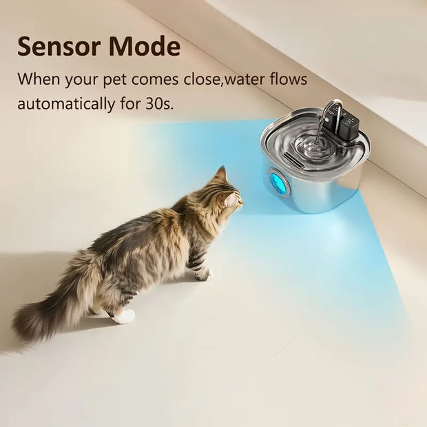 Fontanella per gatti con filtro e sensore